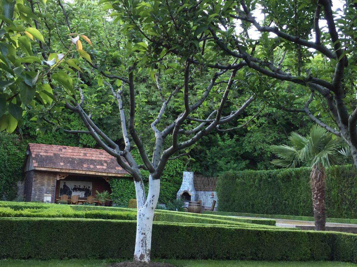 Villa Aragvi Valley Tsitelsopeli Exterior foto