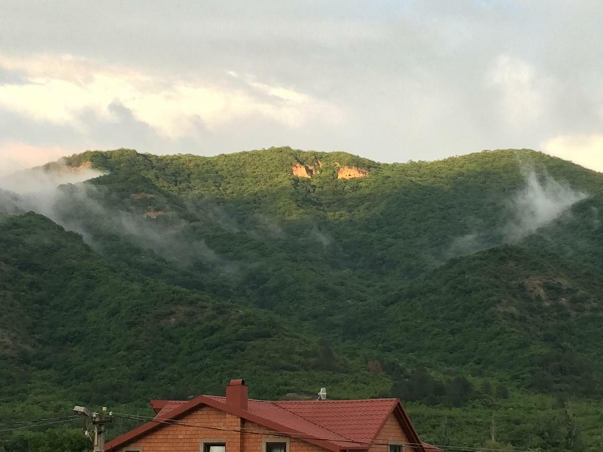 Villa Aragvi Valley Tsitelsopeli Exterior foto